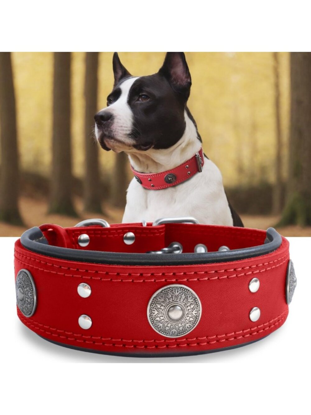 Heavy Duty Genuine Leather Dog Collar for Large Dogs, 2" Wide, Adjustable